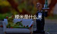 粳米是什么米
